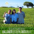 제주다정여행사 이미지