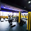 아레나 피트니스 이미지