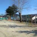 화촌초등학교 이미지