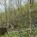 마그내다리승강장 | 화담숲 후기 처음 가기 전에 꼭 알아야 할 핵심 정보 먼저 공부하고 가세요