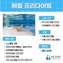 66 | 창원프리다이빙 66다이브 체험다이빙 후기