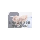 지성부산간병인협회
