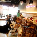 아이러브퍼피 이미지