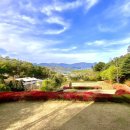 양평농장 이미지