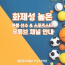 리빙텔러 | 화제성 높은 운동 선수 & 스포츠스타 유튜브 채널 안내