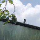 삼합낚시터 이미지