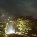 보니따스튜디오 이미지