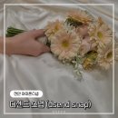 [W_02] 천안아이폰스냅 : 디센드스냅(dsend snap) 예약후기