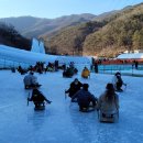 진영떡공장 | 청양 알프스마을 얼음분수축제 직접 다녀온 솔직 후기 정리