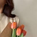 에이드에스테틱