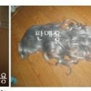 승진사 이미지