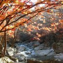 유명산골 이미지