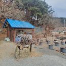 사정약수가든 이미지