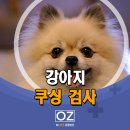 Dr.오즈동물병원 이미지