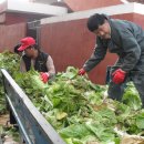 아포농업협동조합 이미지