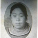 조천수 Daum카페