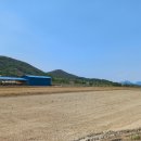 내서읍123 이미지