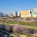 여성병원 뒤 이미지