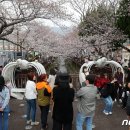 진해구 ⓒ-24 이미지