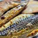 홍양농장 이미지