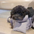 커피하우스1573