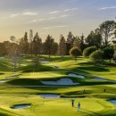 피지컬골프 | 용인 골프 샵 수지 중고 골프채 매장 보상 판매 후기