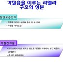 행복에스테틱 이미지