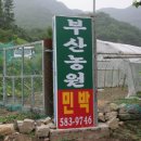 부산농원민박 이미지