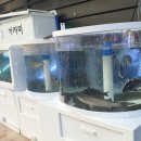 율하밤바다
