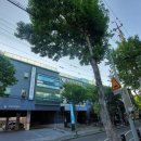 훈아이용소 이미지