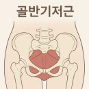 신장사거리(구.신장동사거리) | 사직동 필라테스 | 임산부 필라테스 산전 산후 필라테스에 꼭 관리되어야 하는 근육 골반기저근