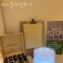 버드플라잉요가