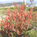 새순1농장 이미지