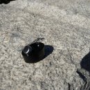 따뜻함이 머무는 자 이미지