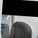 로이드밤(무실롯시점) 네이버블로그