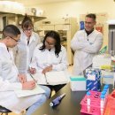 브레인태권도 이미지