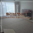 몽글몽글 펫 | 강아지 미끄럼 방지 매트 추천 릴리브 펫러그 구매 후기