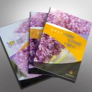 샤인덴탈 이미지