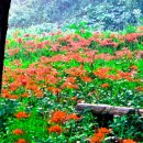 월야농장 이미지