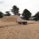 원유남 선생묘 이미지