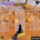 아울갤러리 이미지