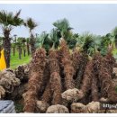 문관농장 이미지