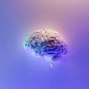 뇌과학으로 비즈니스의 비밀을 풀다 이미지