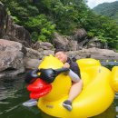 [2024 여름휴가] 하동 세이암 계곡 평상(승헌이네), 사천 비토섬 신우리조트 오션패밀리 후기 :)