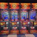 헌터독 대흥점 이미지