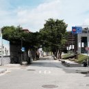 감고당길 이미지