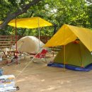 산속애견 이미지