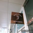 러블린아틀리에 이미지