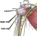[청량리 재활 PT / 답십리 피티] 재활PT 받으시면서 이거 모르면 돈 날리는 거에요! - 마피티 -
