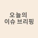 이슈브리핑